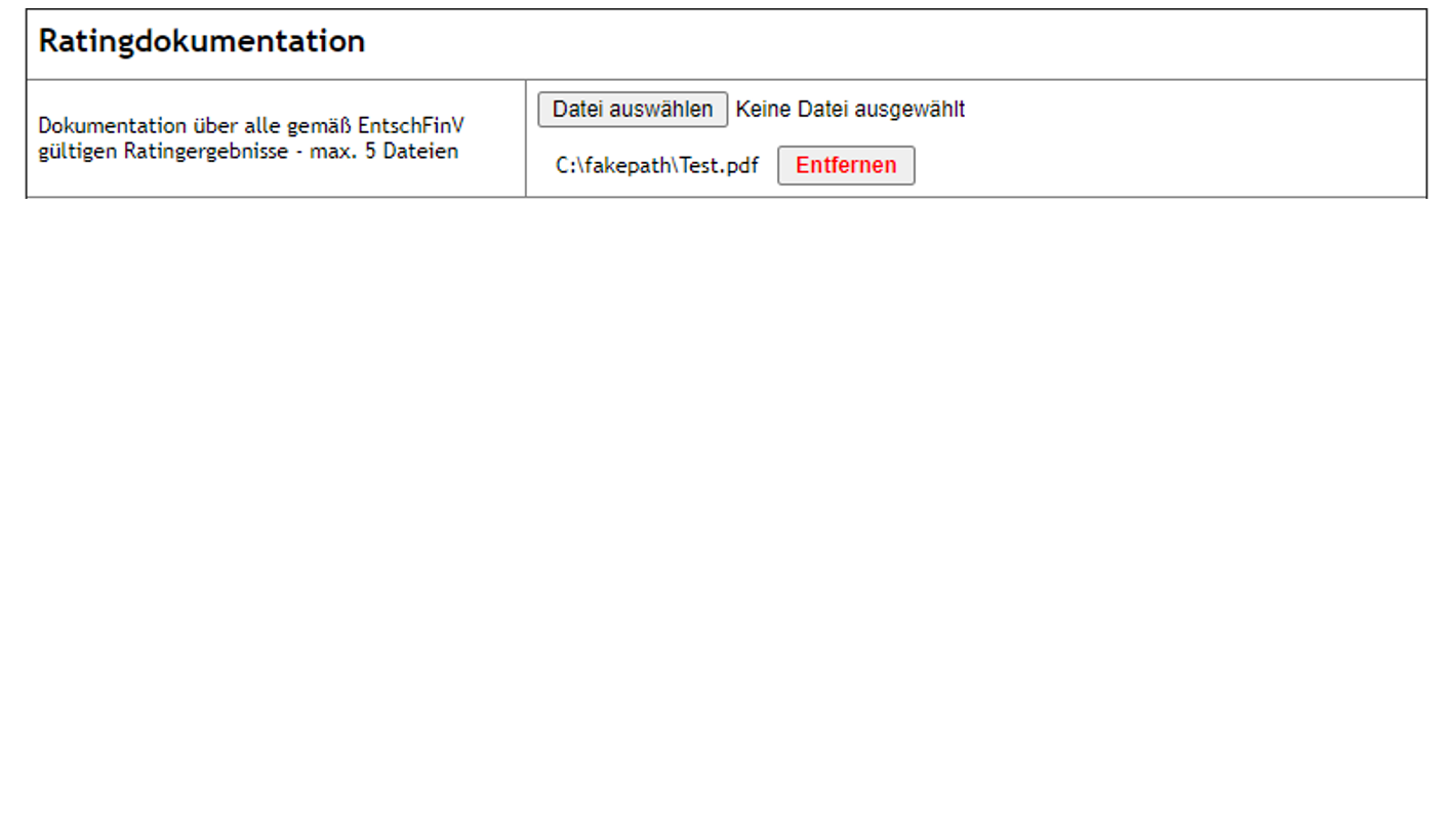 Screenshot der Anzeige: Upload von Ratingdokumenten, im Pfad der hochgeladenen Datei steht fakepath